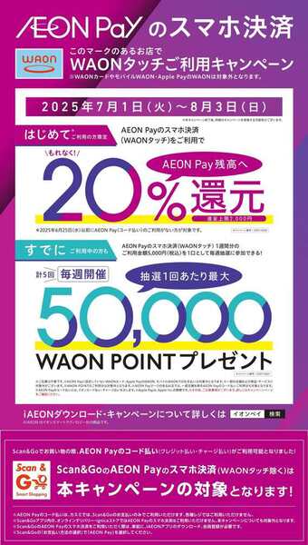 Kasumi Flyer 2